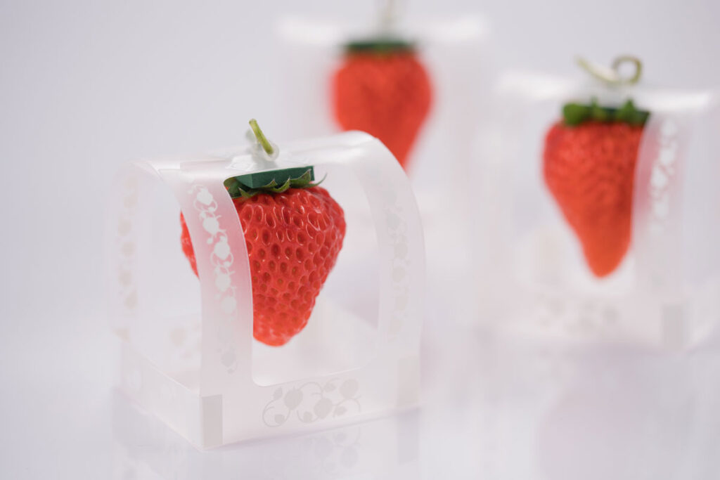 パッケージ